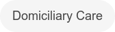 Domiciliary Care